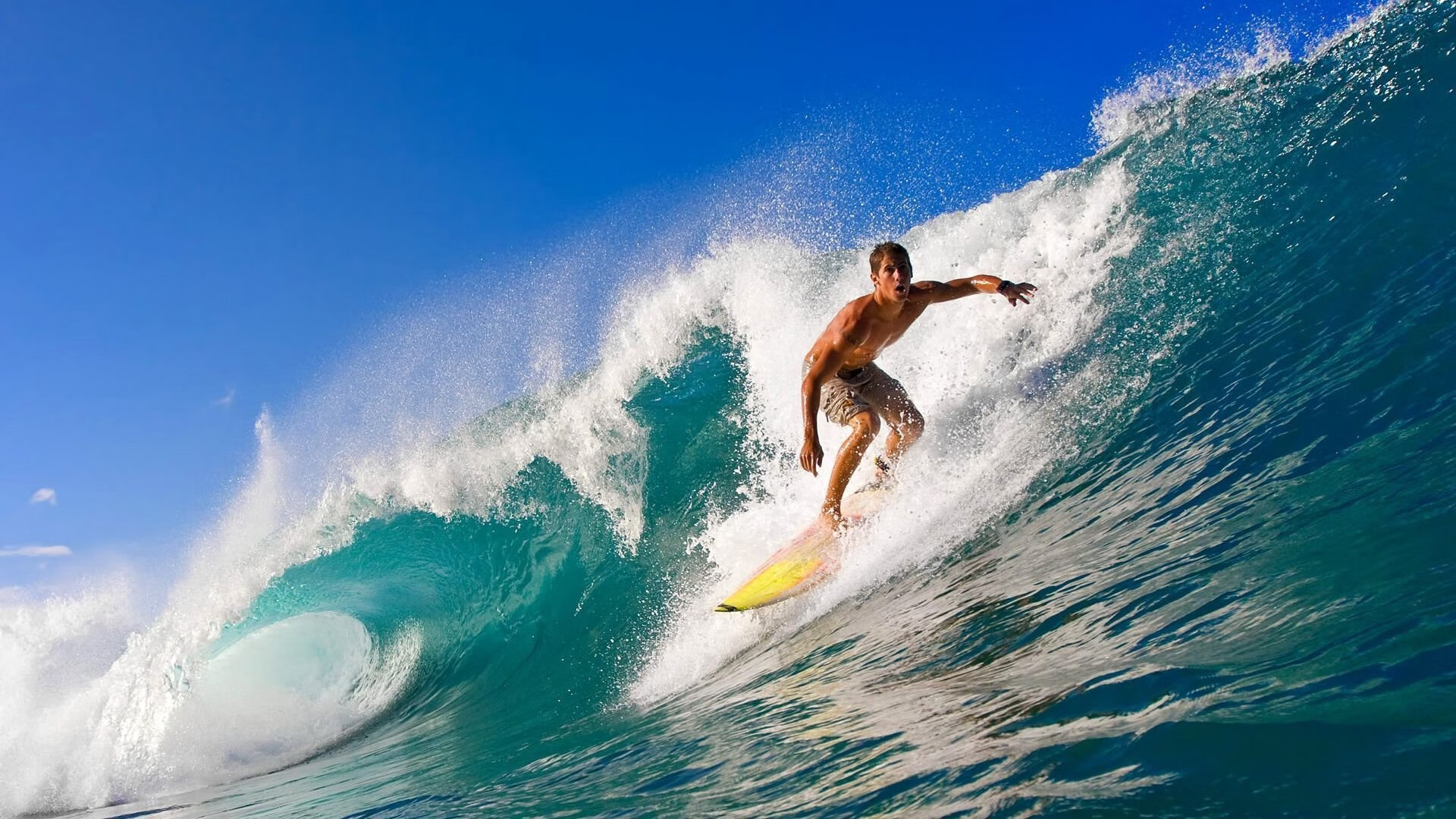 全球首届机器人竞技大赛落幕 中国团队斩获全能冠军